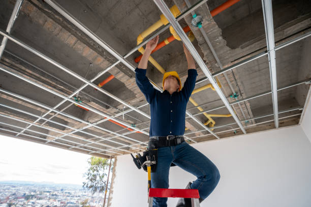 Best Clogged Drain Plumber  in Newton Falls, OH